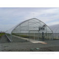 Vegetable single span gothic commercial plastic greenhouse
